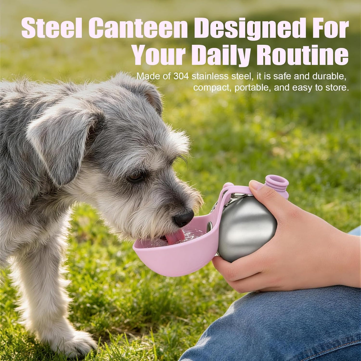 Portable Dog Water Bottle with Collapsible Silicone Bowl, 10Oz