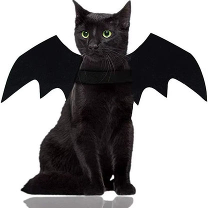 Wholesale Cute Cat Cosplay Costume Black Bat Wings Safety Belt Role Playing Pet Cat Dog Halloween Party Decoration Supplies