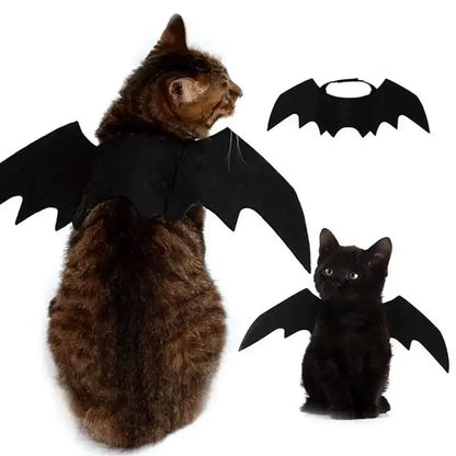 Wholesale Cute Cat Cosplay Costume Black Bat Wings Safety Belt Role Playing Pet Cat Dog Halloween Party Decoration Supplies