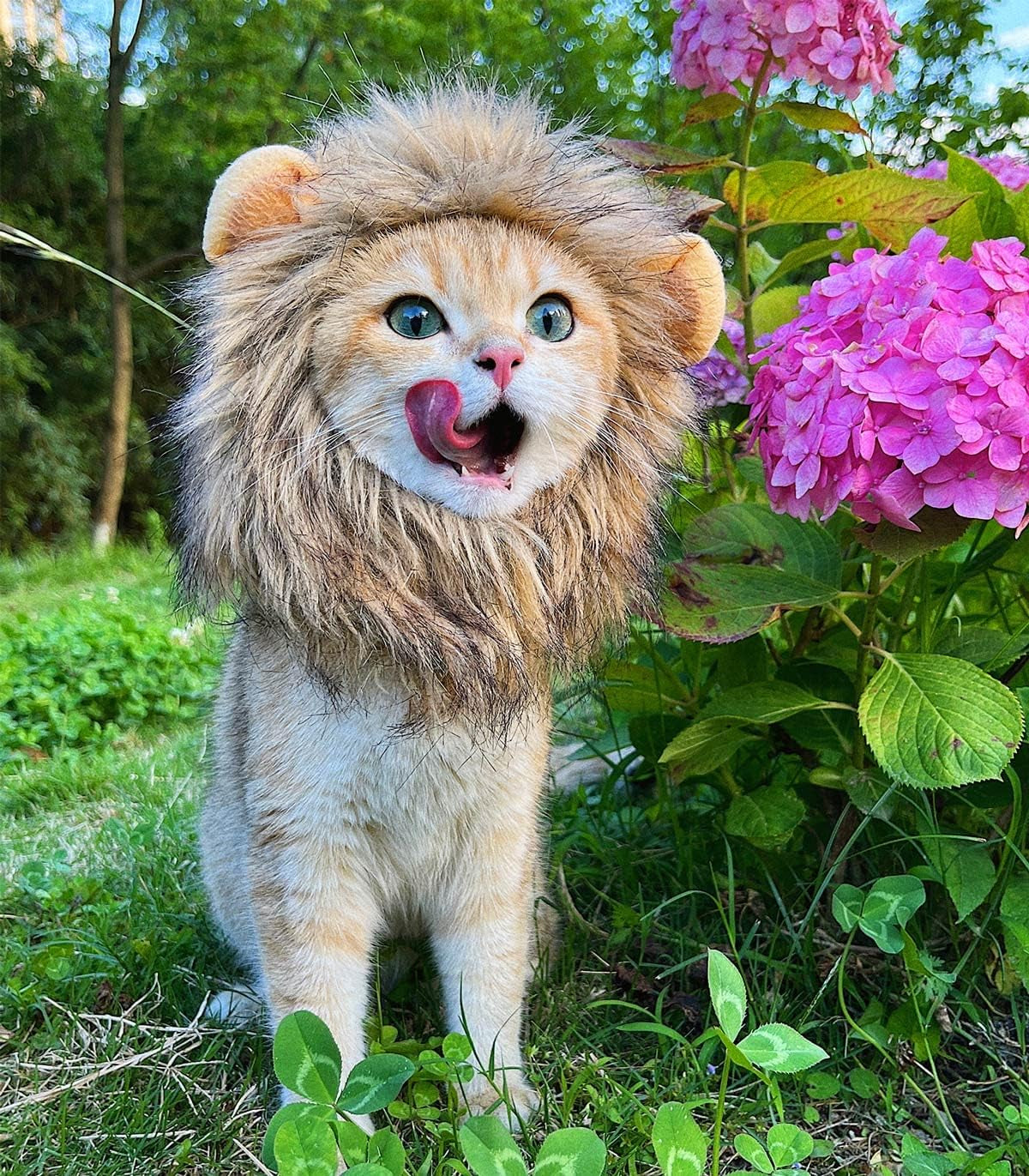 Lion Mane Wig for Cat Costume Pet Adjustable Washable Comfortable Fancy Lion Hair Cat Clothes Dress for Halloween Christmas Easter Festival Party Activity (Small, Brown)