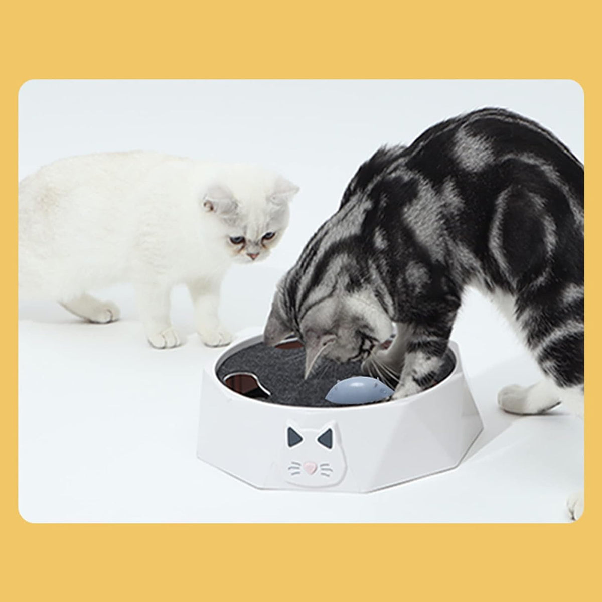 Interactive Cat Turntable Toy, Electric Toys 2 Speed Adjustable