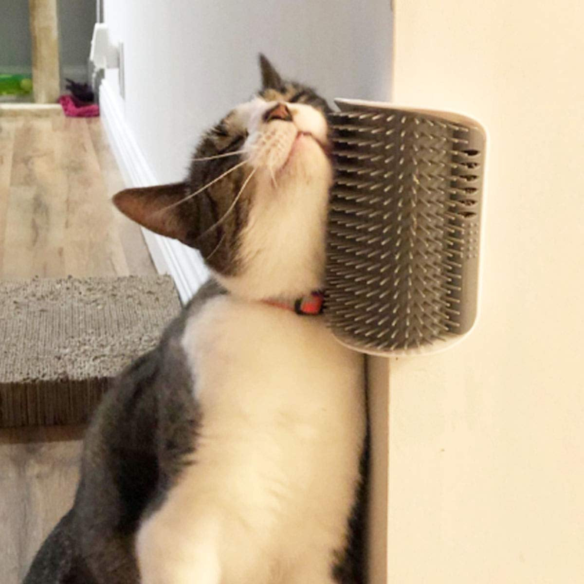 2 Pack Softer Self Groomer with Catnip Wall Corner Massage Comb Scratcher Grooming Brush Tool for Long & Short Fur Kitten Cats Dogs (Gray)