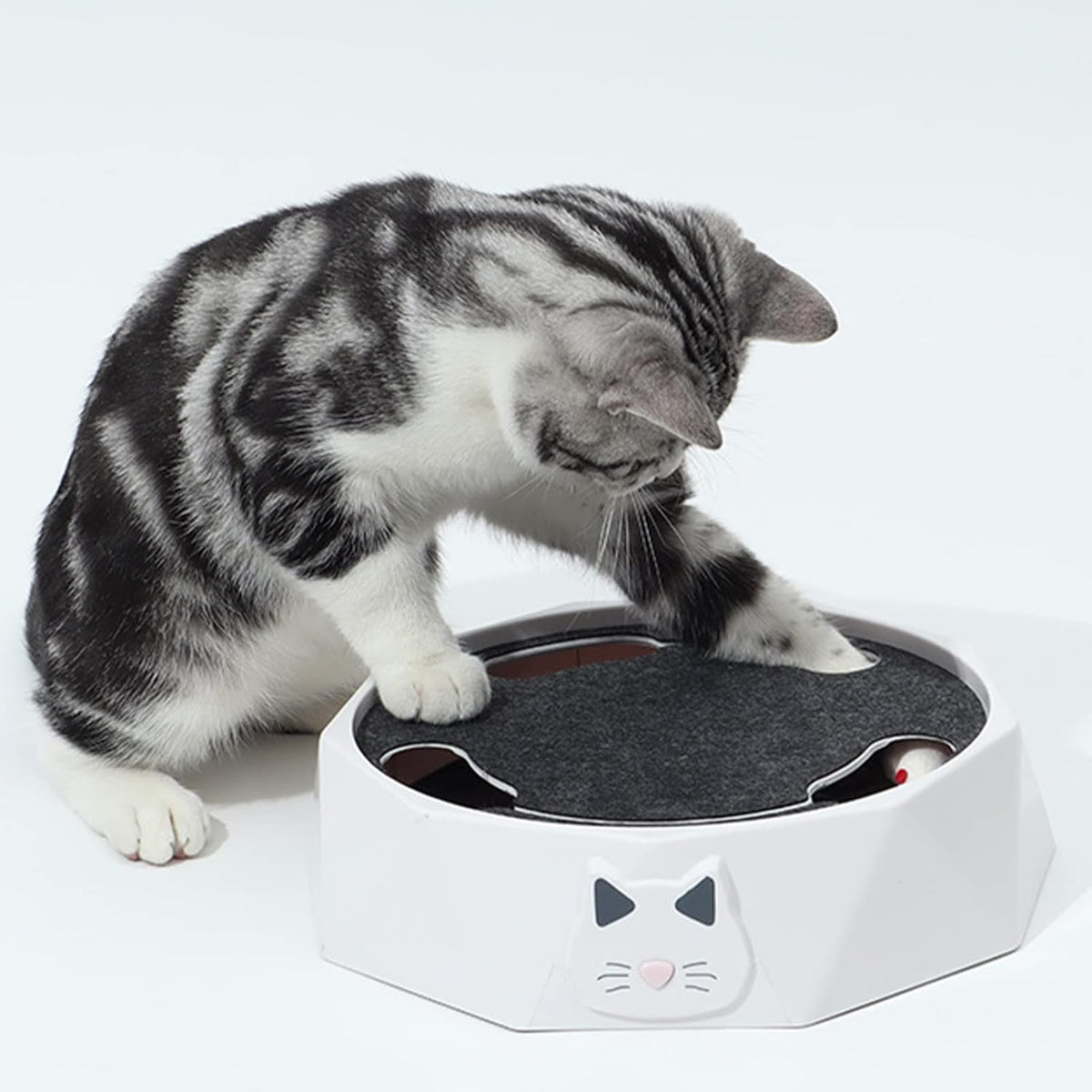 Interactive Cat Turntable Toy, Electric Toys 2 Speed Adjustable