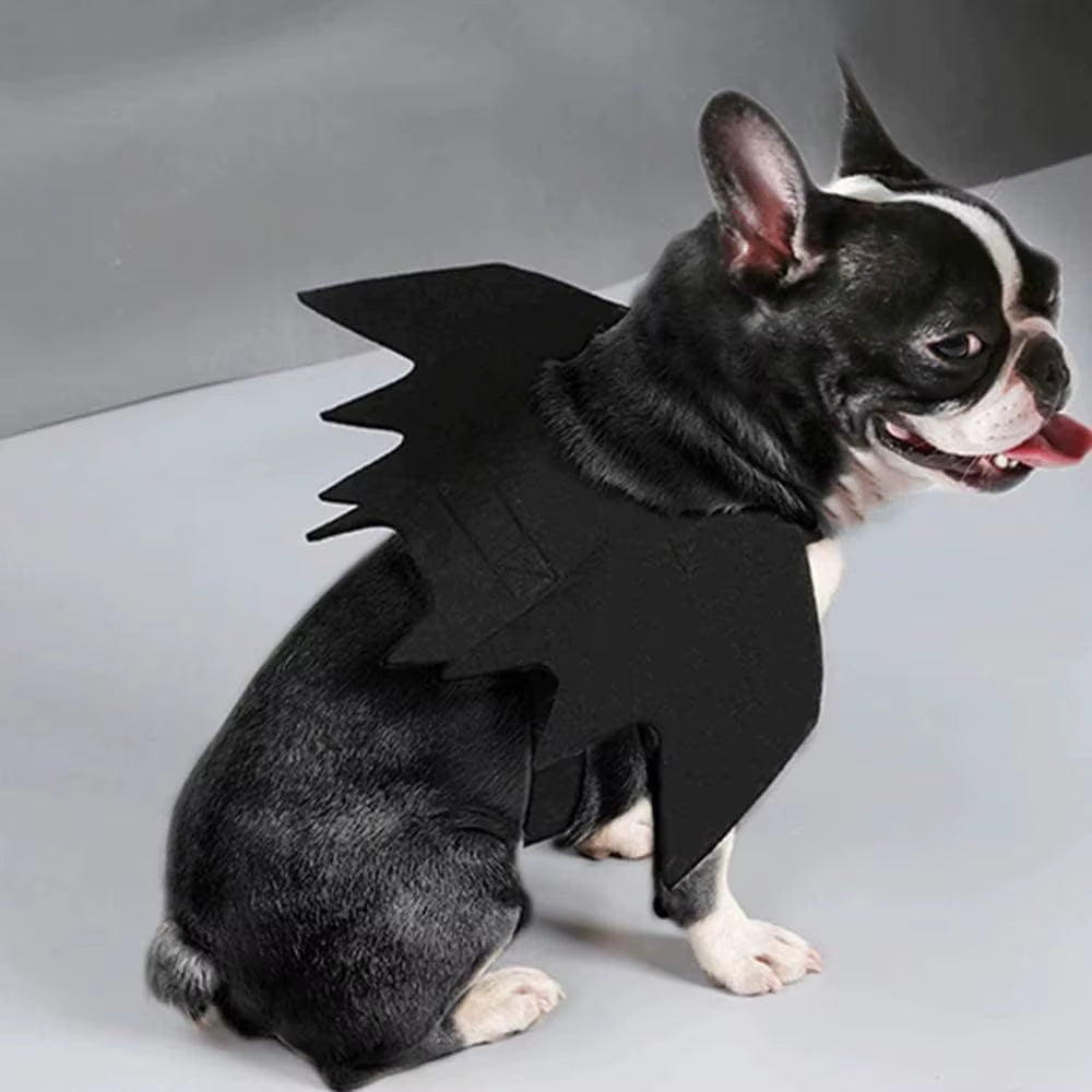 Wholesale Cute Cat Cosplay Costume Black Bat Wings Safety Belt Role Playing Pet Cat Dog Halloween Party Decoration Supplies