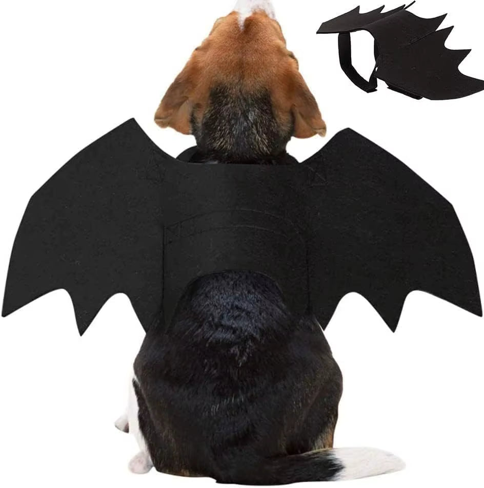 Wholesale Cute Cat Cosplay Costume Black Bat Wings Safety Belt Role Playing Pet Cat Dog Halloween Party Decoration Supplies