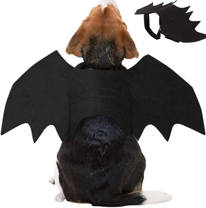Wholesale Cute Cat Cosplay Costume Black Bat Wings Safety Belt Role Playing Pet Cat Dog Halloween Party Decoration Supplies